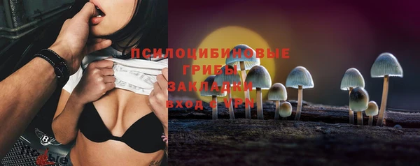 сатива Алексин