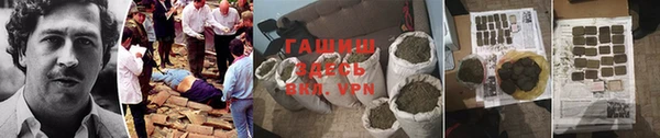 PSILOCYBIN Алзамай