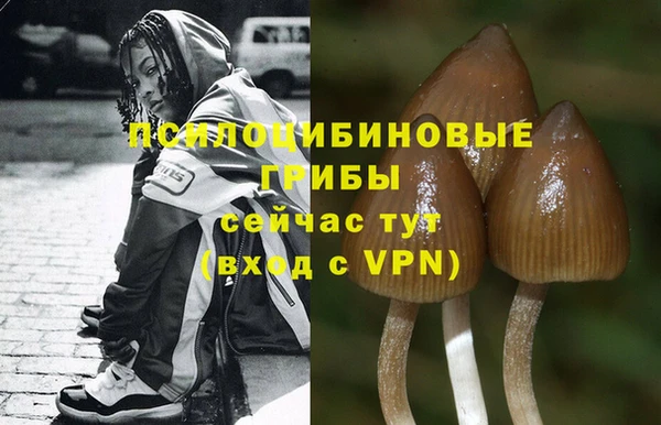 мескалин Алексеевка