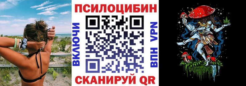 Галлюциногенные грибы GOLDEN TEACHER  где найти наркотики  Бабушкин 